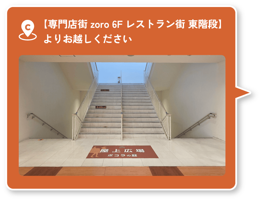 専門店zoro6F東階段