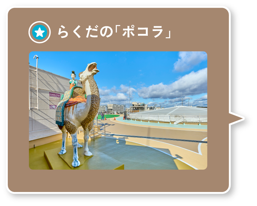 らくだのポコラ