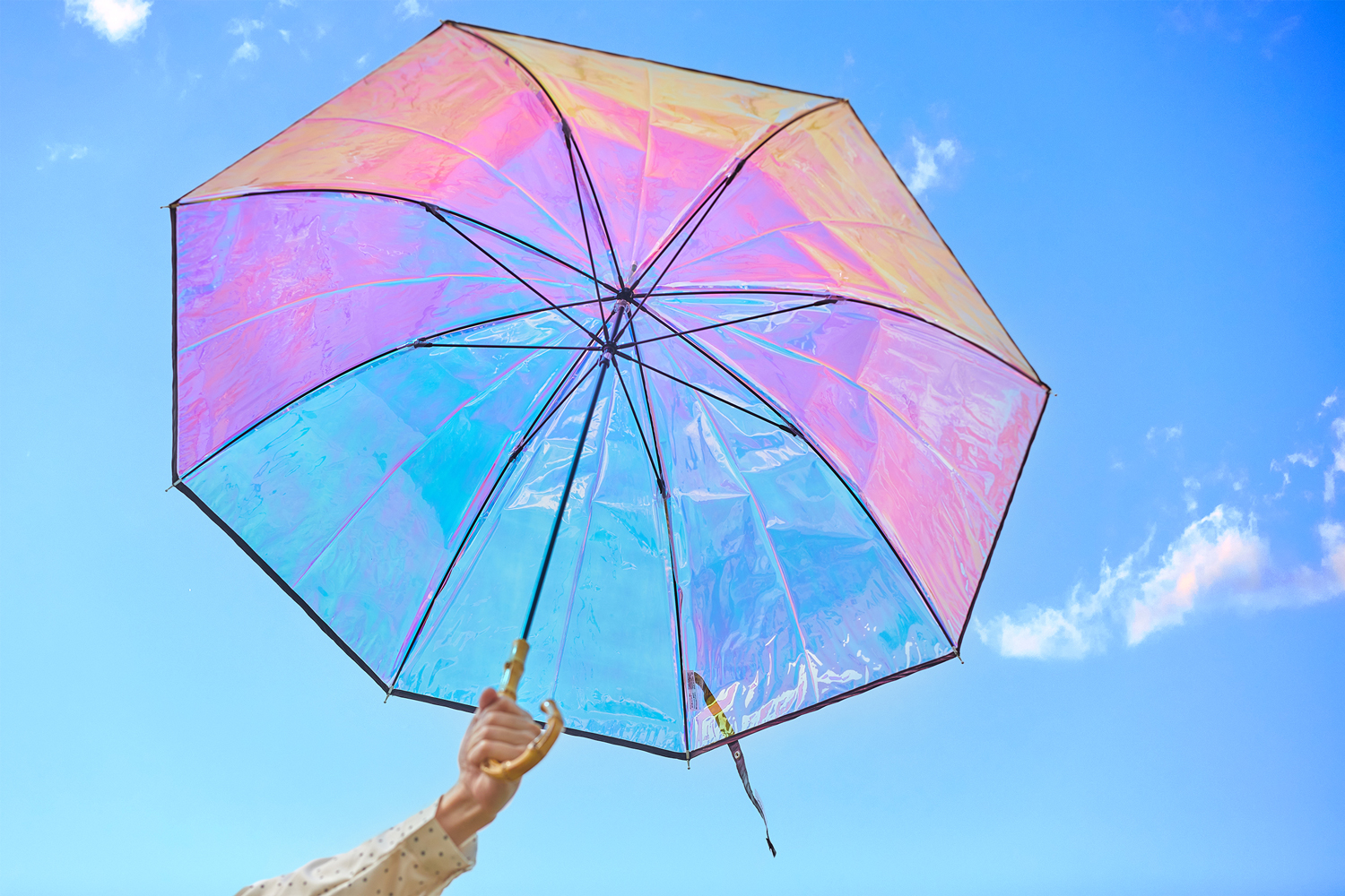 雨の日を楽しく♪ ～ならファの傘コレクション～ | Watashi zoro-e