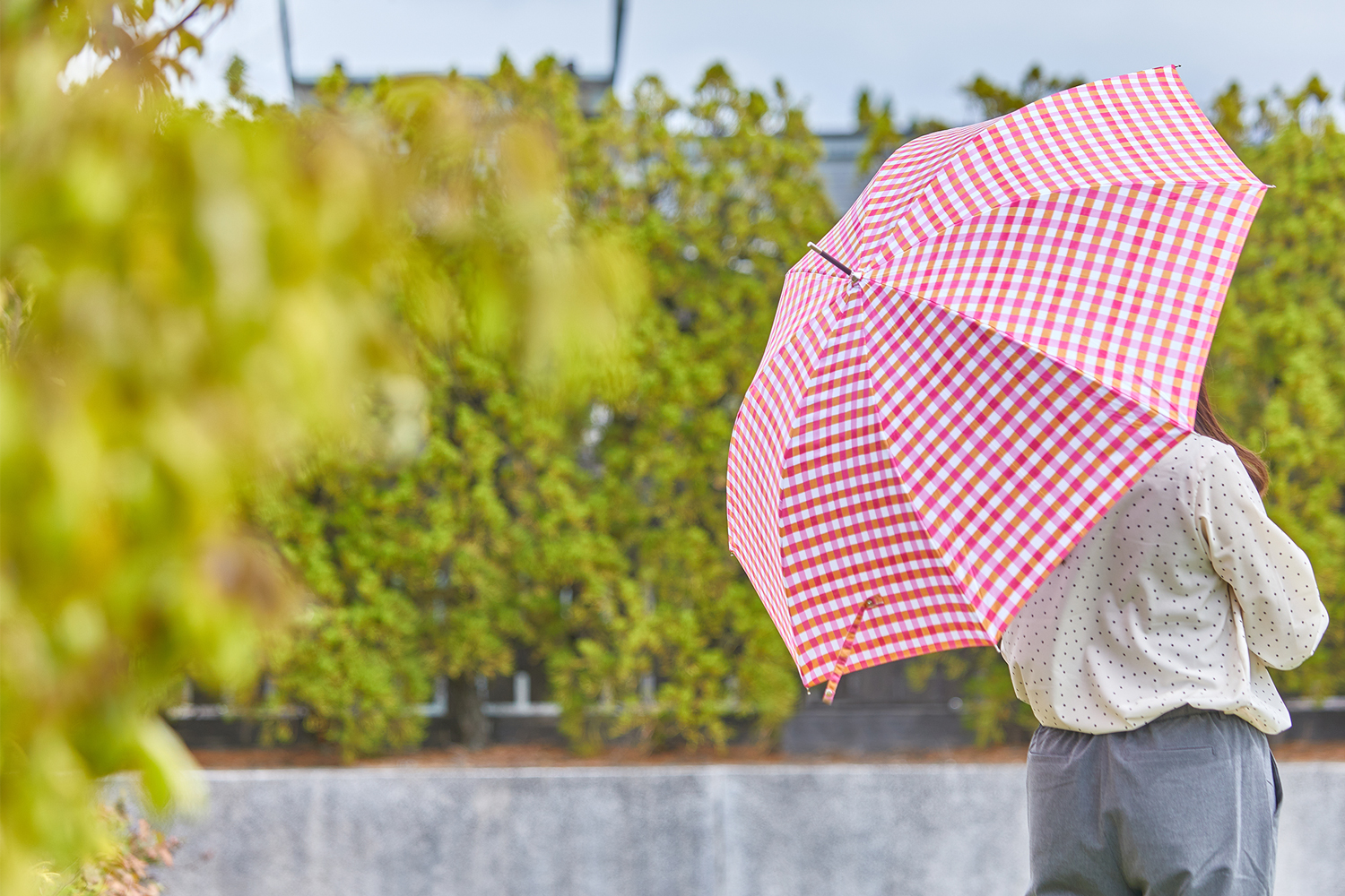 雨の日を楽しく♪ ～ならファの傘コレクション～ Watashi zoro-e