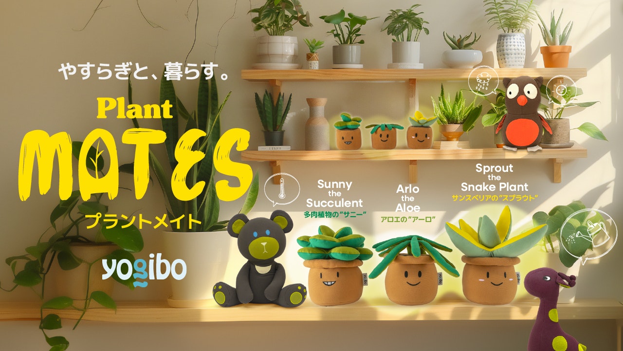 新商品　Plantシリーズ