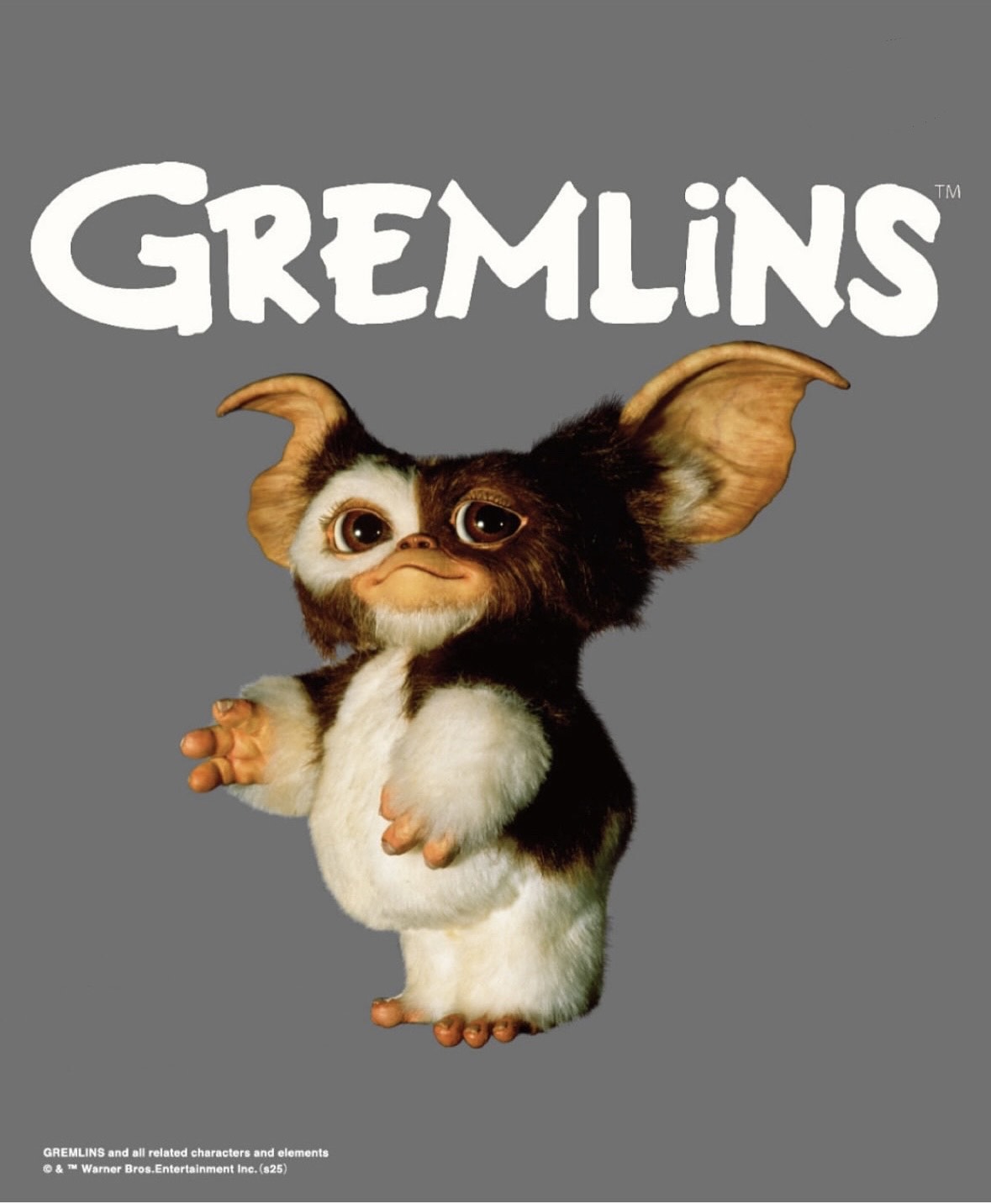 【LOWRYS FARM 】GREMLiNSコラボアイテム