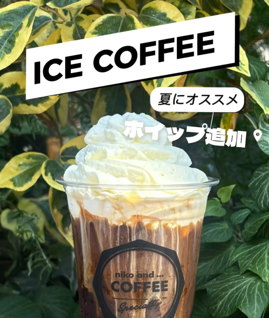 nikoand…CAFFE オススメドリンク