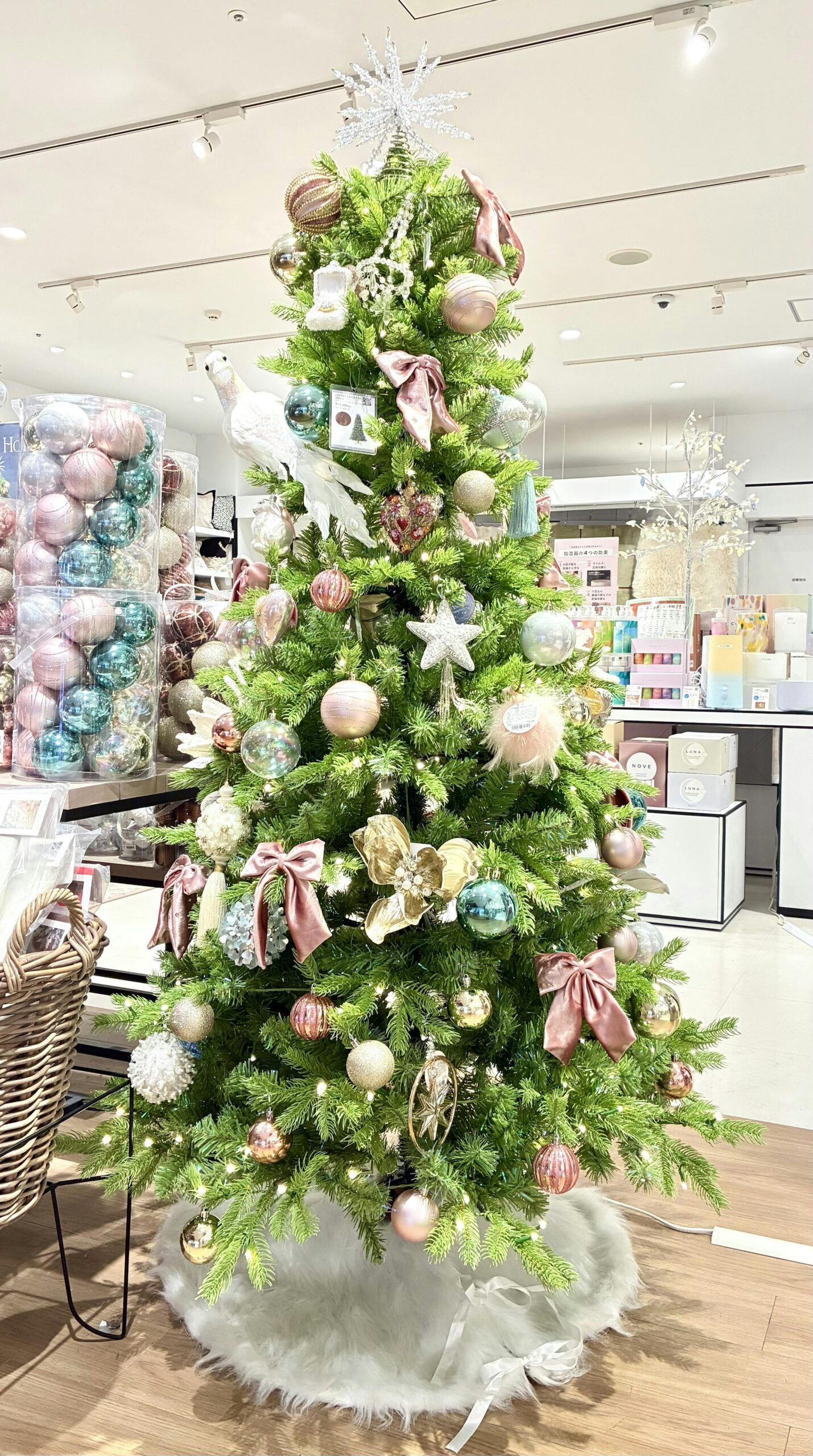 Francfrancのクリスマスアイテムで一足お先にクリスマス気分を取り入れてみませんか🥰🌟