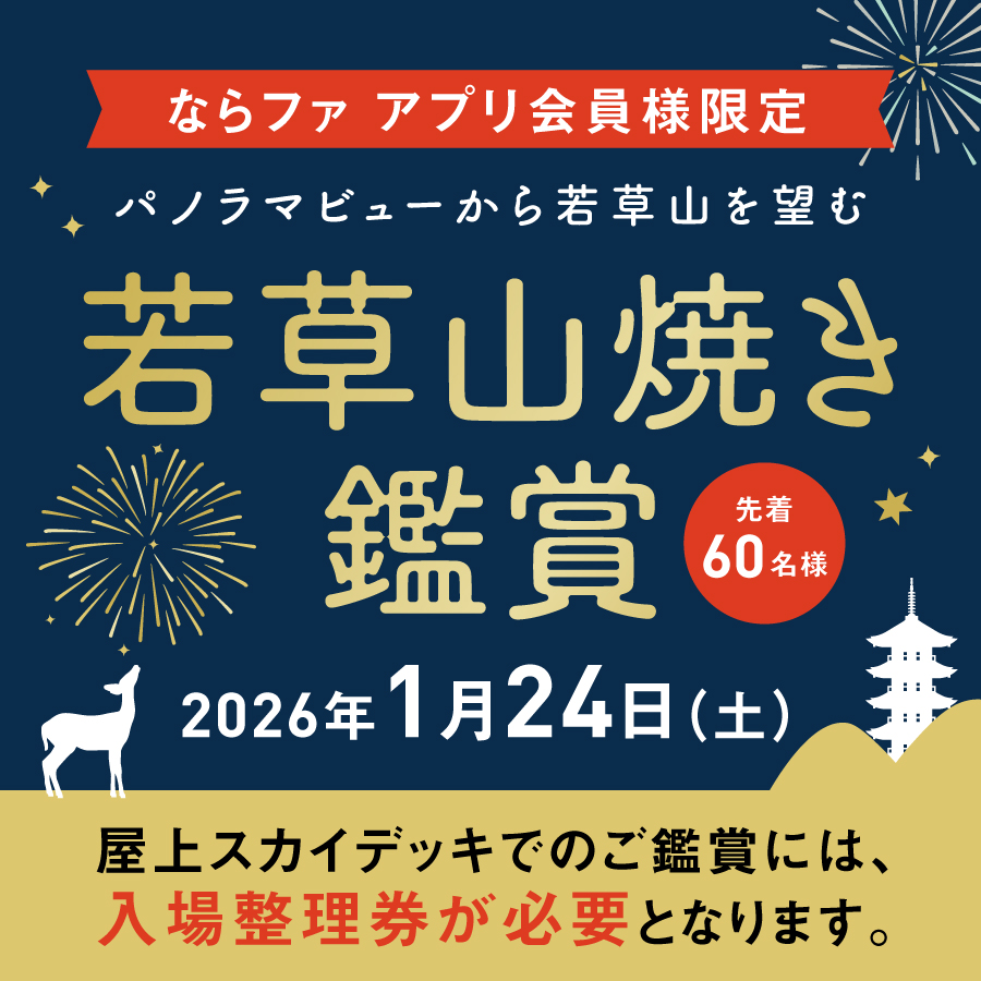 若草山焼き鑑賞