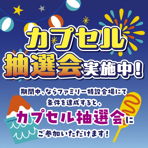 イオンペイ_カプセル抽選会