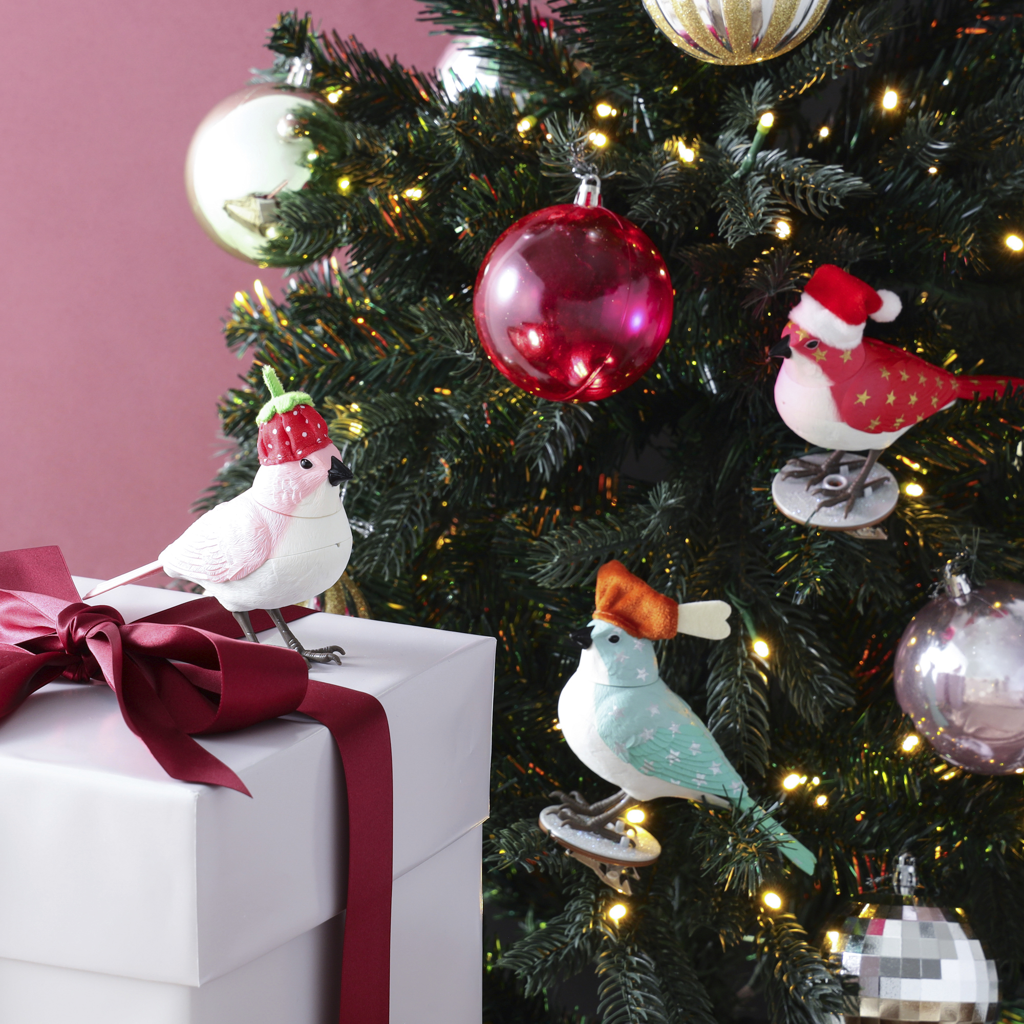 Francfranc　【NEW✨】ミュージックバードXmasバージョン入荷✨🎄🐦